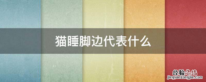 猫喜欢睡脚下 猫睡脚边代表什么