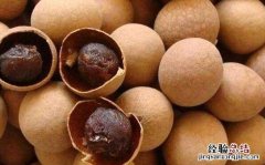 桂圆干的功效与作用怎么吃 干桂圆的功效和作用，干桂圆怎么吃