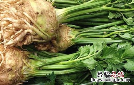 根芹的种植技术 根芹的种植技术要点有哪些?