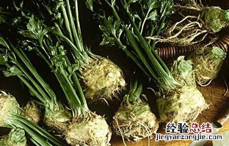根芹的种植技术 根芹的种植技术要点有哪些?