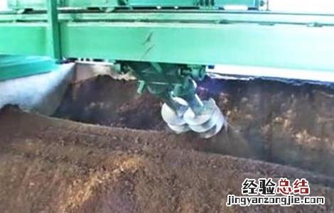 双孢菇栽培注意事项 双孢菇栽培注意事项