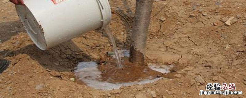 植物灌根的正确方法 灌根的正确方法