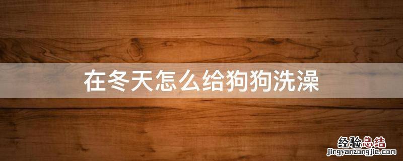 在冬天怎么给狗狗洗澡 冬季如何给狗狗洗澡
