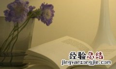 8月致自己的正能量句子 8月致自己的正能量句子短句
