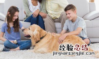 如何处理孩子打架问题,聪明的家长都这样做 如何处理孩子打架问题