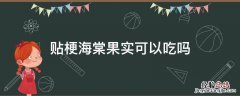 贴梗海棠果的吃法 贴梗海棠果实可以吃吗