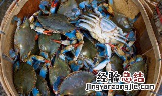 夏天活青蟹怎么保存 活青蟹的储藏方法