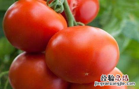 西红柿高产施肥方法有哪些 西红柿高产施肥方法