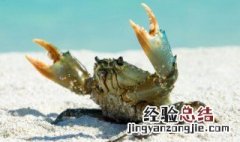 活的三门青蟹怎么保存 三门青蟹怎么保存时间最长