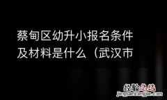 武汉市蔡甸区幼升小网上报名时间 蔡甸区幼升小报名条件及材料是什么