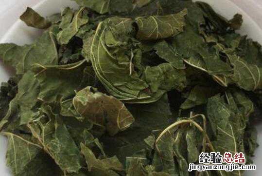 干桑叶泡水的功效 桑叶干泡水喝有什么功效