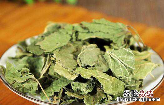 干桑叶泡水的功效 桑叶干泡水喝有什么功效