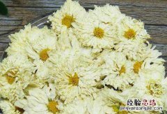 黄山贡菊的功效与作用及禁忌有哪些 黄山贡菊的功效与作用及禁忌有哪些呢