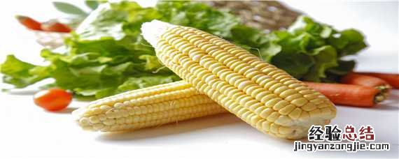 哈丰303玉米简单介绍 哈丰303玉米品种