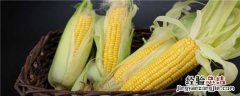 益农玉18玉米积温 益农玉18号玉米生长期多少天