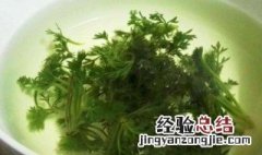 藏茵陈可以天天喝吗 藏茵陈可以天天喝吗对心脏好不好