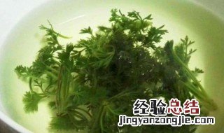 藏茵陈可以天天喝吗 藏茵陈可以天天喝吗对心脏好不好