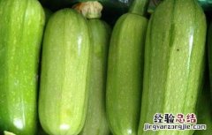 西葫芦田间管理技术用什么除草剂 西葫芦田间管理技术