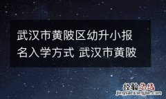 武汉市黄陂区幼升小报名入学方式 武汉市黄陂区幼升小报名入学方式有几种