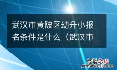 武汉市黄陂区幼升小报名条件是什么样的 武汉市黄陂区幼升小报名条件是什么