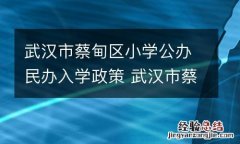 武汉市蔡甸区小学公办民办入学政策 武汉市蔡甸区小学公办民办入学政策是什么