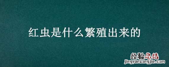 红虫是什么繁殖出来的 红虫 繁殖