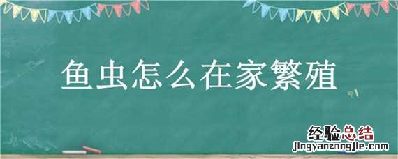 鱼虫怎么家庭饲养繁殖 鱼虫怎么在家繁殖