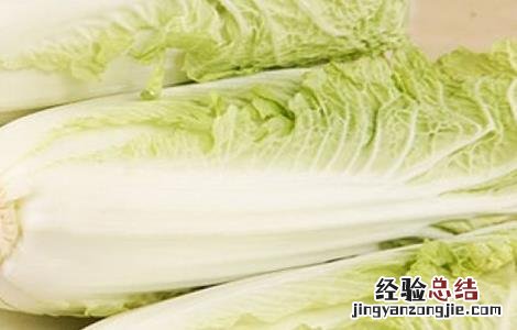 娃娃菜的栽培与管理 娃娃菜的管理要点