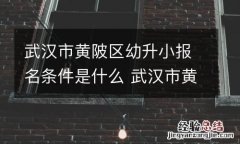 武汉市黄陂区幼升小报名条件是什么 武汉市黄陂区幼升小报名条件是什么样的