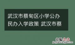武汉市蔡甸区小学公办民办入学政策 武汉市蔡甸区小学公办民办入学政策文件