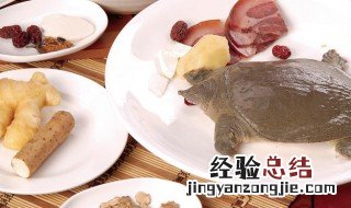 山药桂圆炖甲鱼 山药桂圆炖甲鱼的食物相克