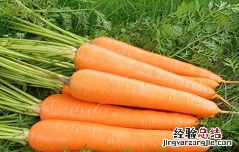 胡萝卜怎么施肥