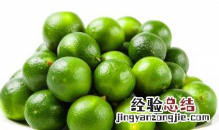 青金桔与小青柠是同一种吗