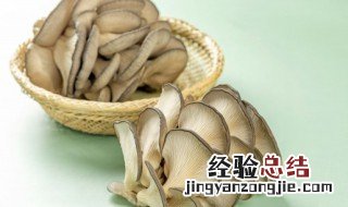 炸蘑菇怎么做不软还酥脆的做法分享视频 炸蘑菇怎么做不软还酥脆的做法分享