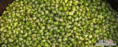 南湖菱什么时候成熟 南湖菱什么时候上市