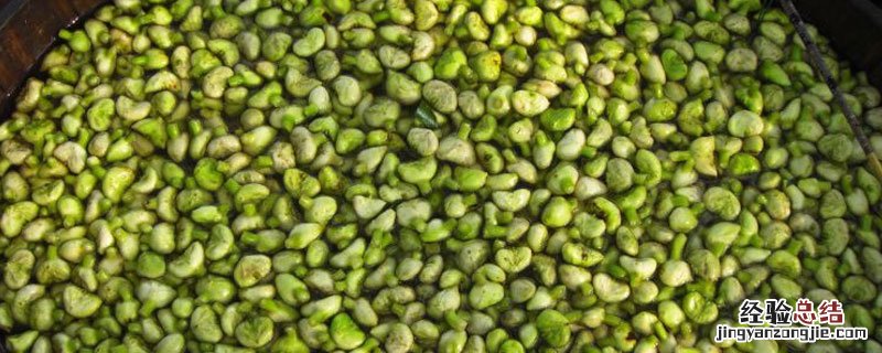 南湖菱什麽時候成熟 南湖菱什麽時候上市