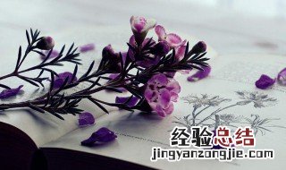 正实数是什么? 正实数是什么意思