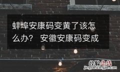 蚌埠安康码变黄了该怎么办？ 安徽安康码变成黄码怎么办
