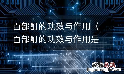 百部酊的功效与作用是中药吗? 百部酊的功效与作用