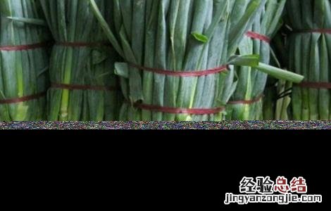 大葱种植方法 大葱种植方法?