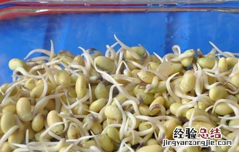 一年四季可以种的蔬菜阳台 一年四季可以种的蔬菜