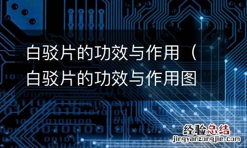 白驳片的功效与作用图片 白驳片的功效与作用