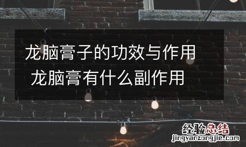 龙脑膏子的功效与作用 龙脑膏有什么副作用