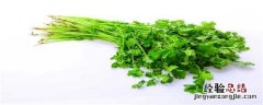 香菜种植技术及管理 香菜种植技术及管理图书