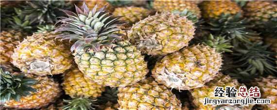 菠萝种植技术和管理方法书 菠萝种植技术和管理方法