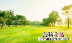 碧草如茵下一句 碧草如茵的意思
