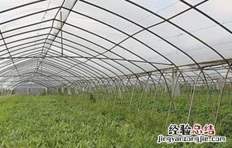 蔬菜大棚建设注意事项 蔬菜大棚建设注意事项和细节
