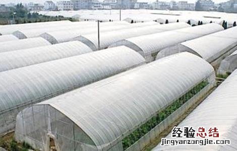 蔬菜大棚建设注意事项 蔬菜大棚建设注意事项和细节