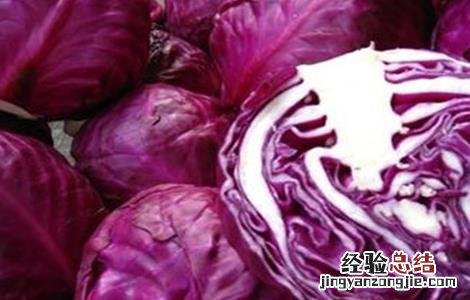 紫甘蓝怎么种 紫甘蓝怎么种好吃