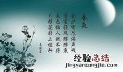 春夜北宋王安石古诗的意思 王安石春夜古诗的意思